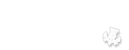 NO SCOTLAND, NO PARTY | by 3 Celts & Company